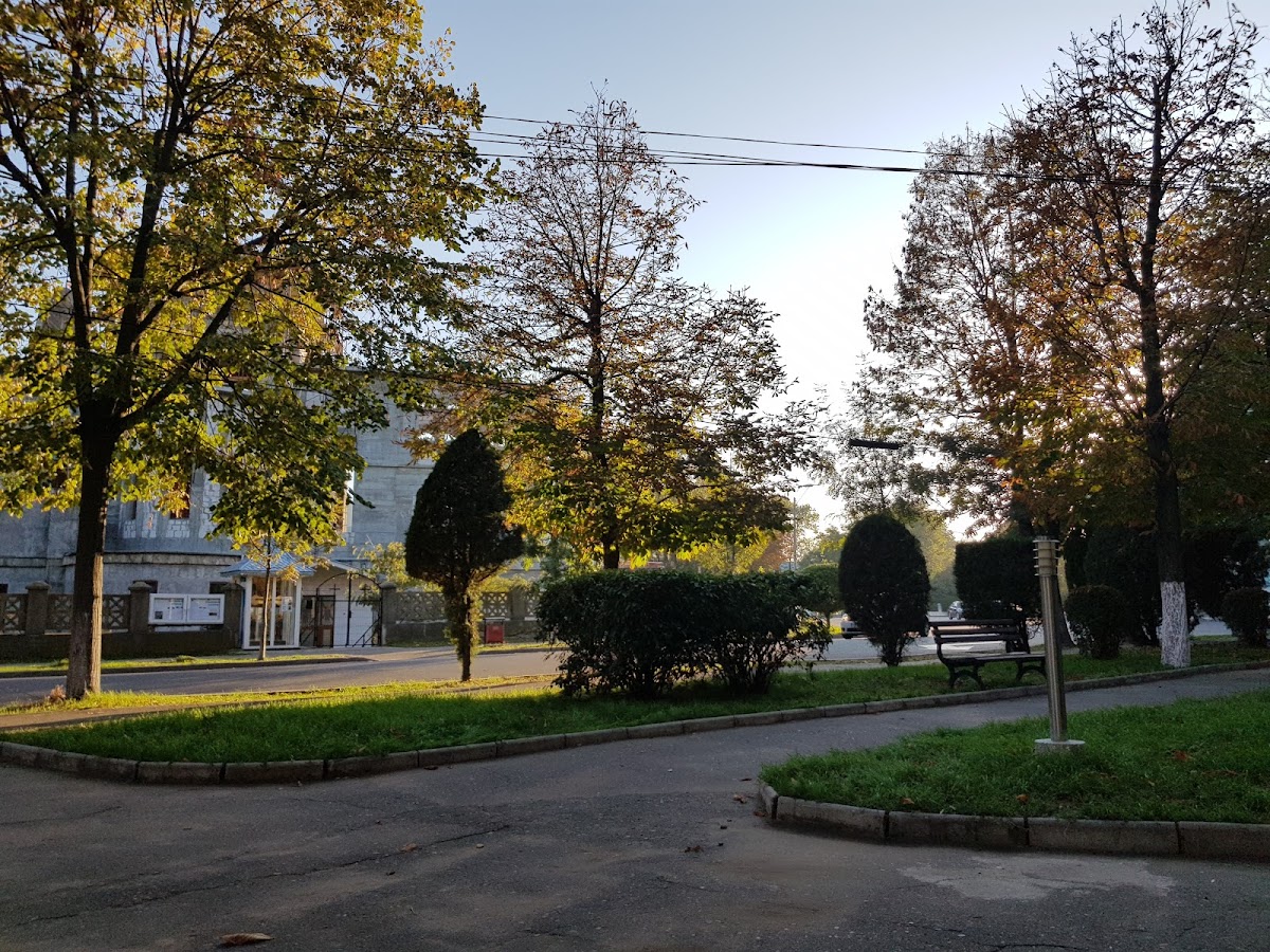 Parcul 9 Luni - foto 3