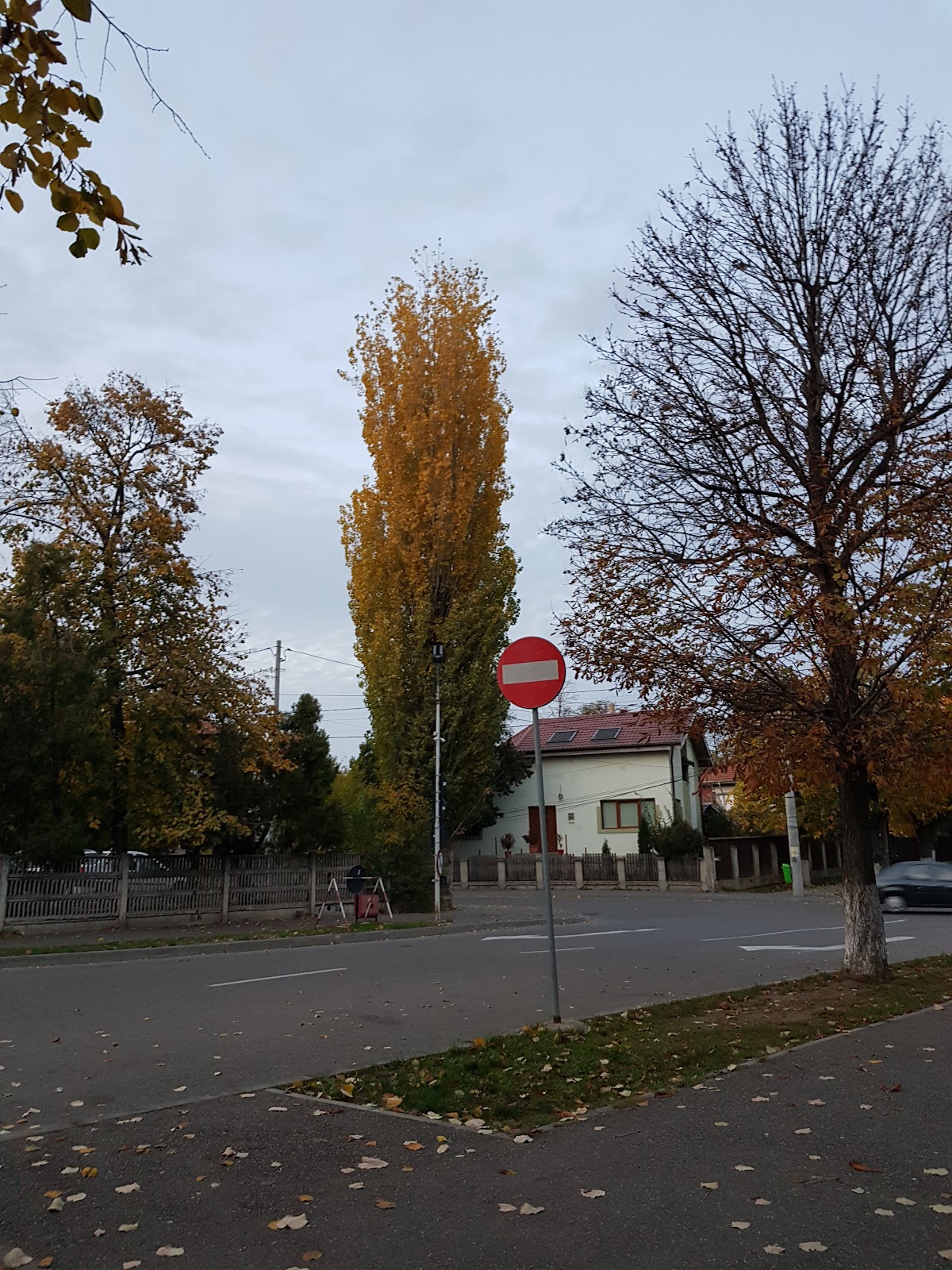 Parcul 9 Luni - foto 5