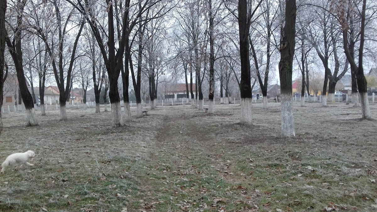 Parco Adelin Onețiu - foto 2