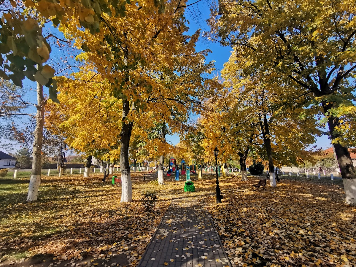 Parco Adelin Onețiu - foto 4