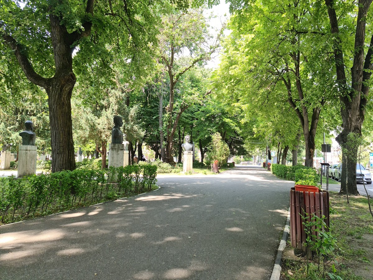 Parcul ,,Alei" - foto 2