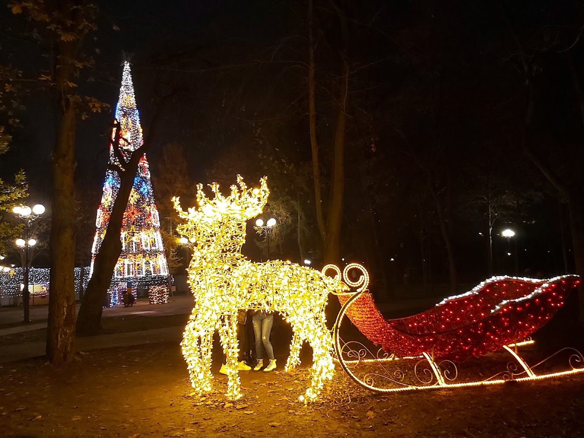 Parcul ,,Alei" - foto 4