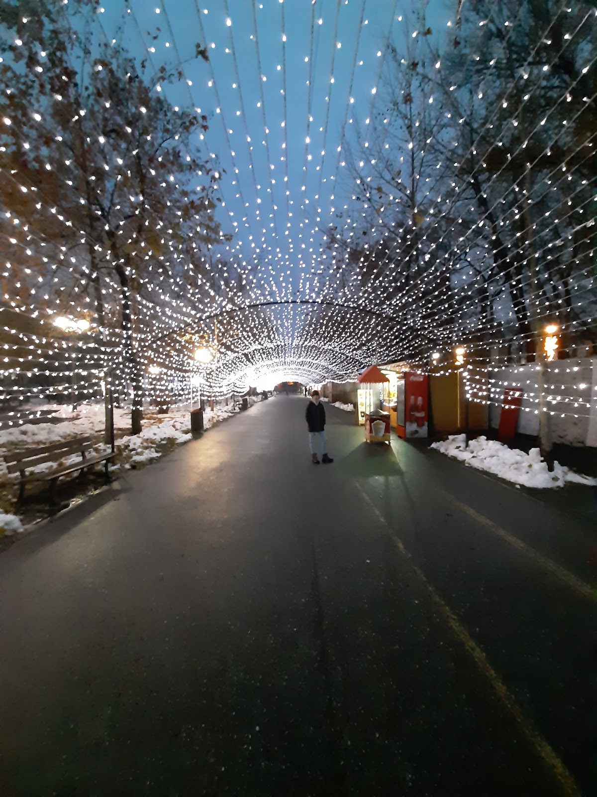 Parcul ,,Alei" - foto 5