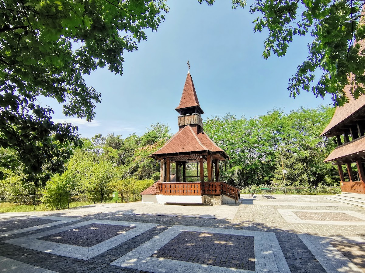 Parcul Alexandru Ioan Cuza - foto 4