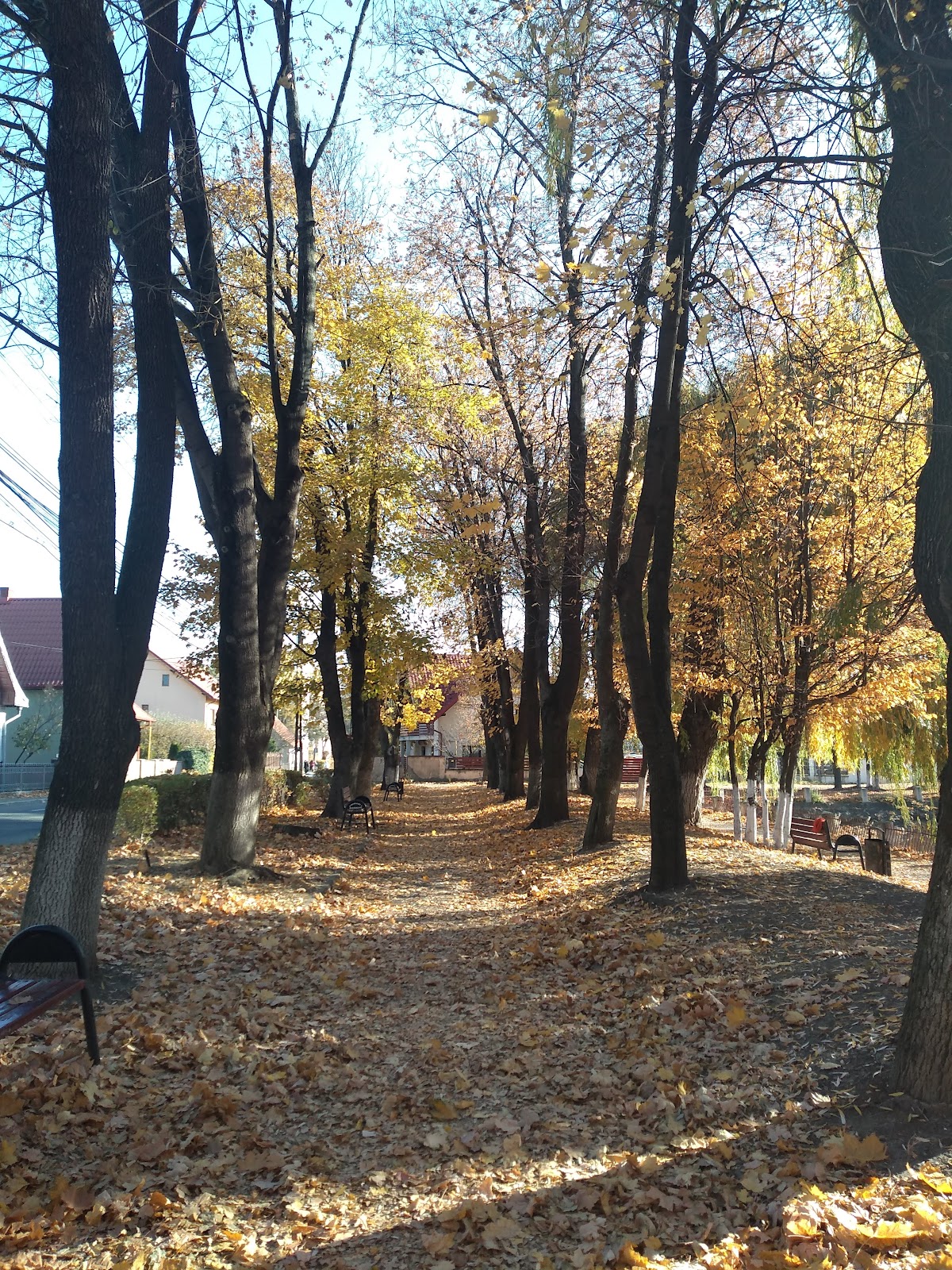 Parcul Alexandru Sahia - foto 2