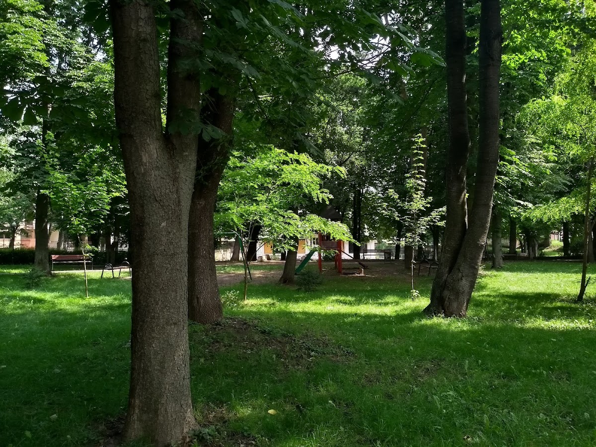 Parcul Alexandru Sahia - foto 5