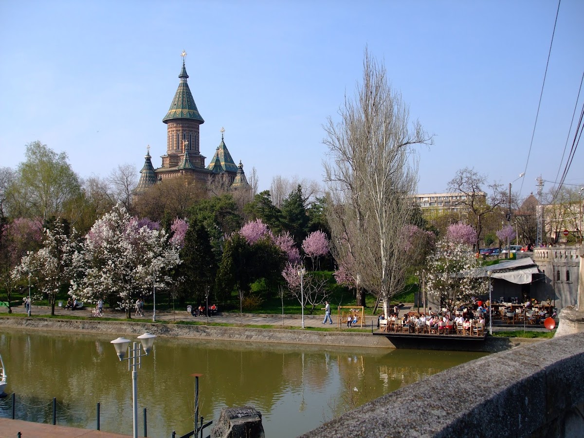 Parc Alpinet - foto 4
