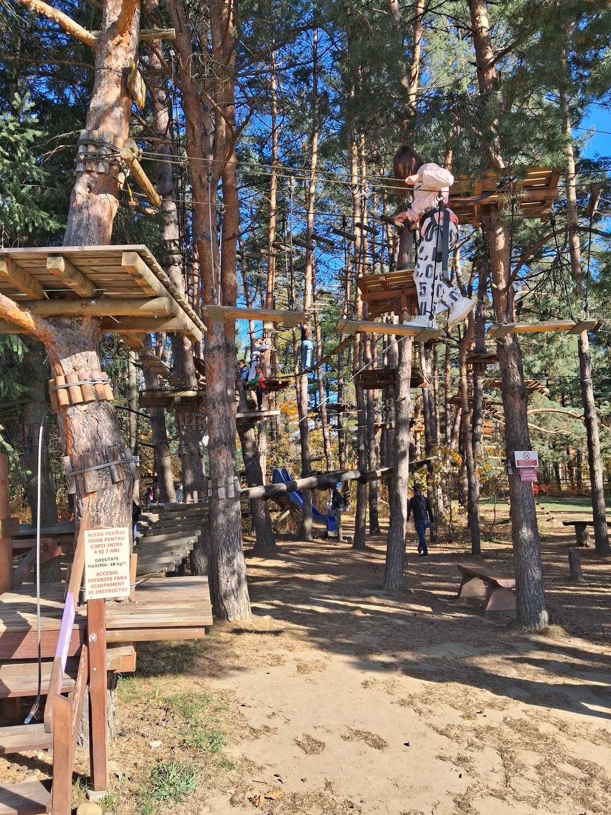 Parcul Arinis - foto 1