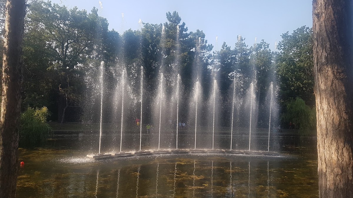 Parcul Aventura Buzau - foto 2