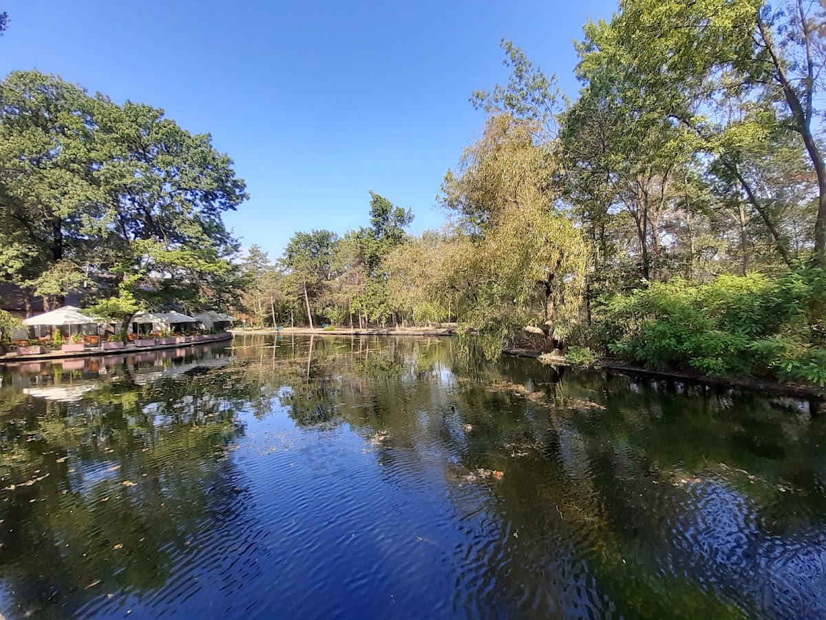 Parcul Aventura Buzau - foto 3