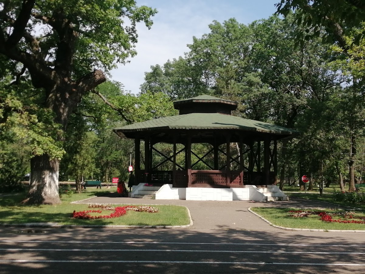 Parcul Aventura Buzau - foto 5