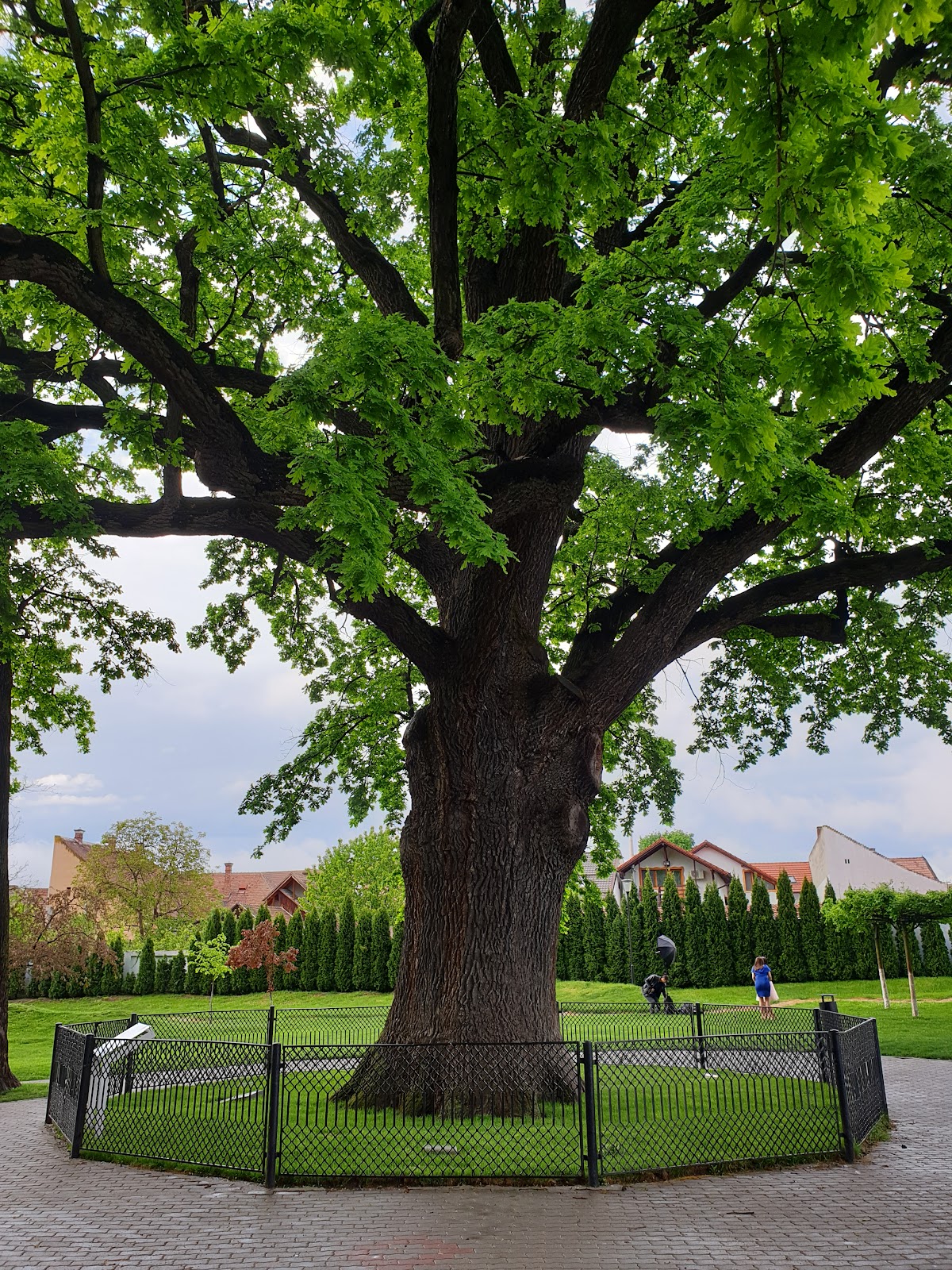 Parcul Avram Iancu, Blaj - foto 1
