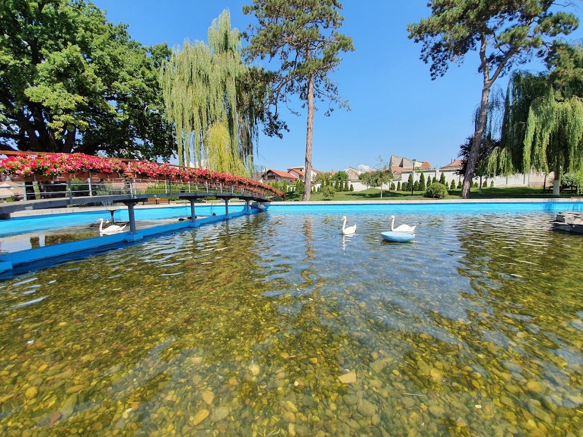 Parcul Avram Iancu, Blaj - foto 5