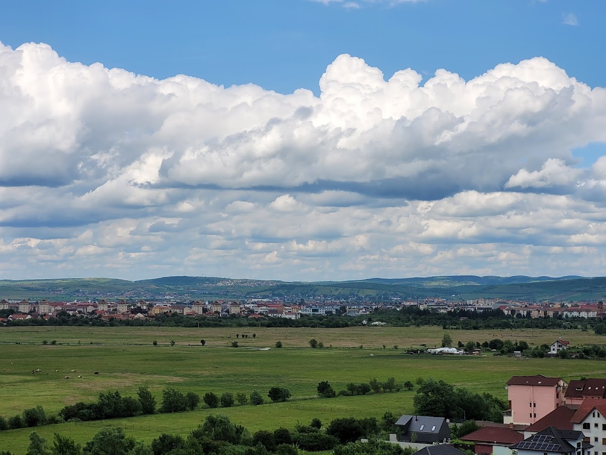 Parco Belvedere - foto 2