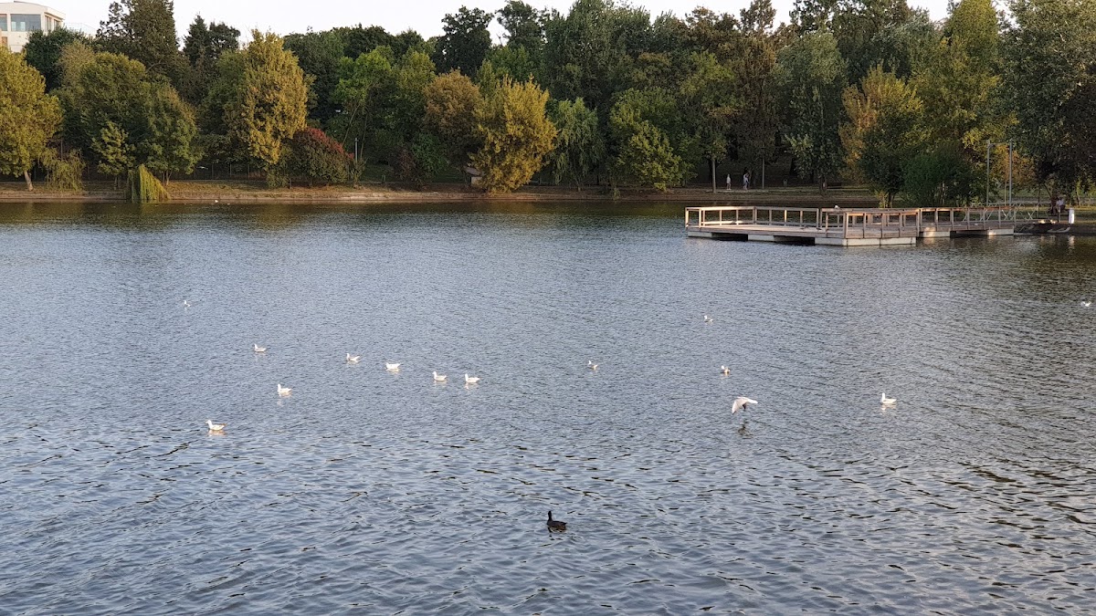 Parcul Bordei - foto 3