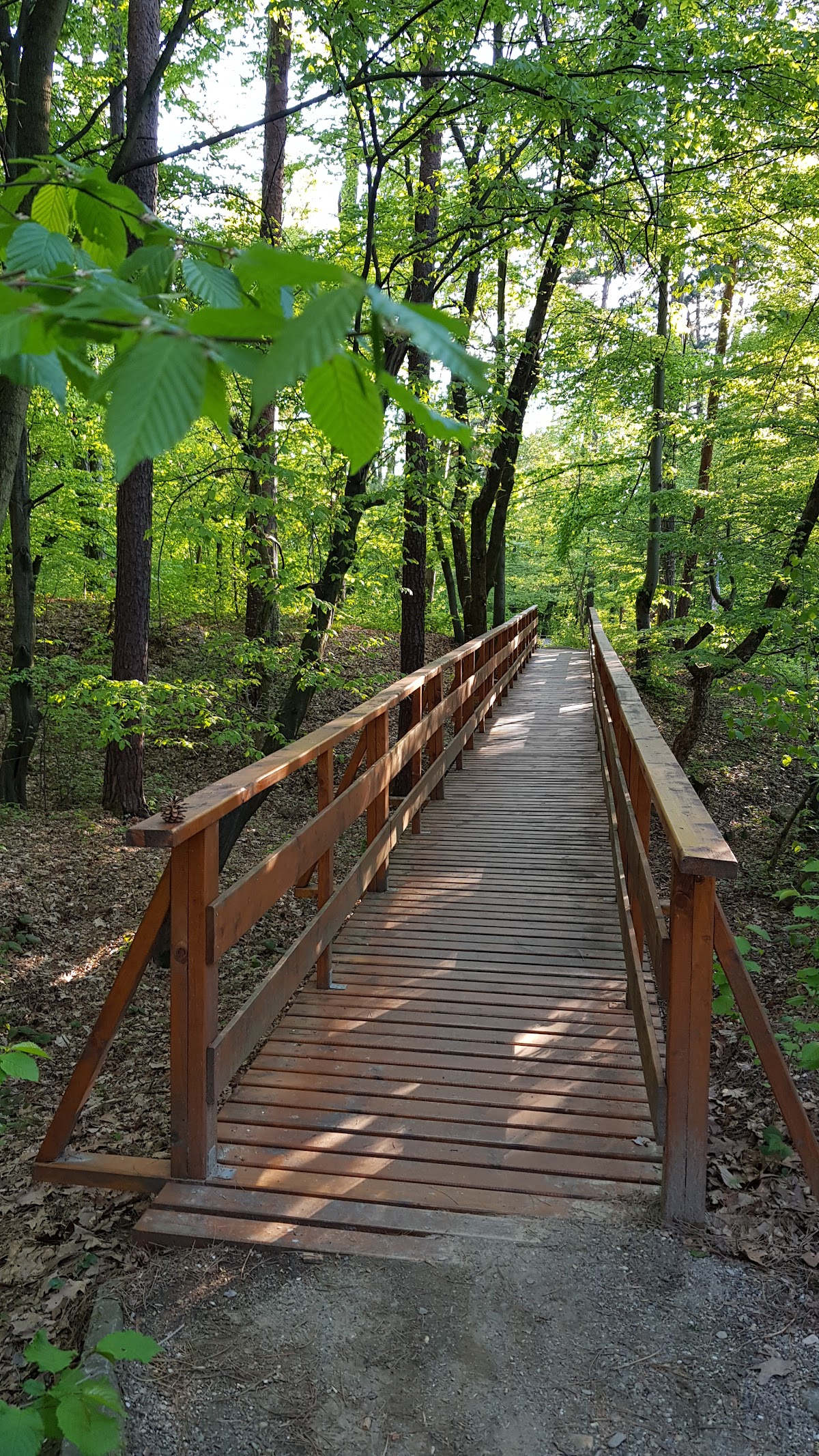 Parcul Brădet - foto 1