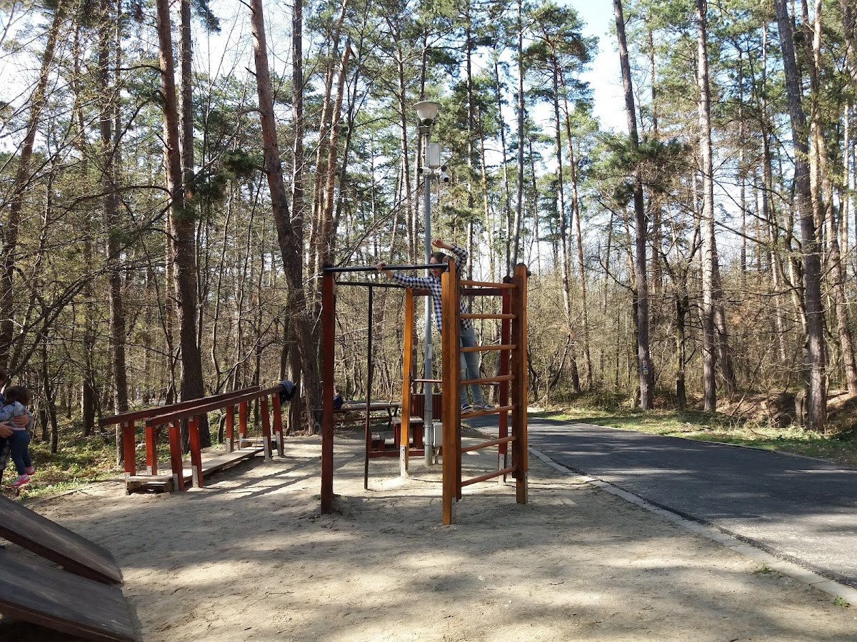 Parcul Brădet - foto 2