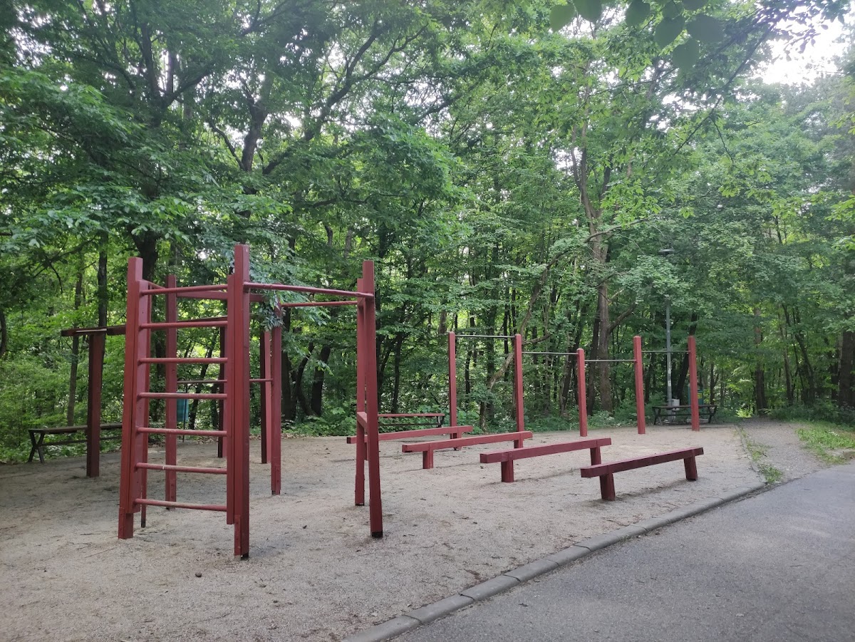 Parcul Brădet - foto 3