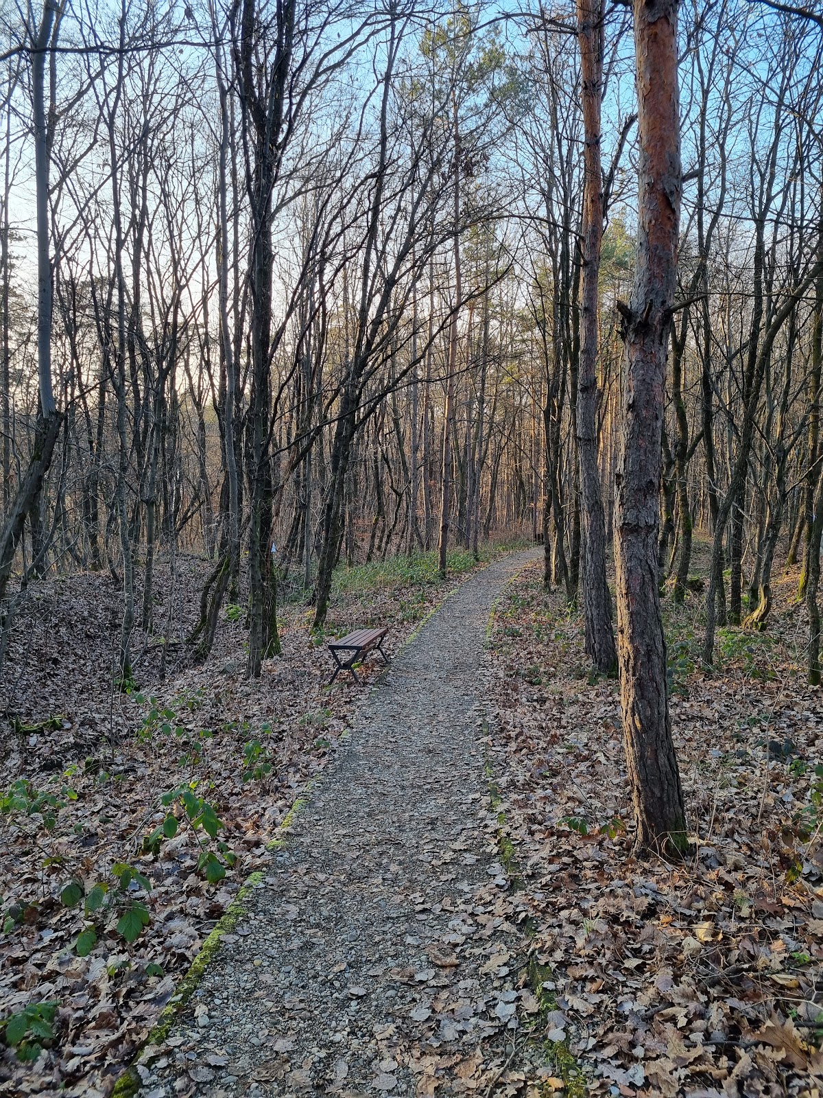 Parcul Brădet - foto 4