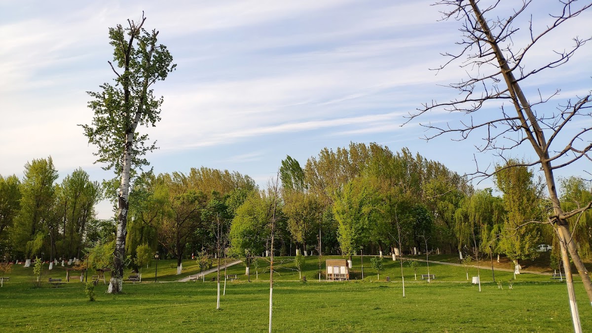 Bragadiru Park - foto 2