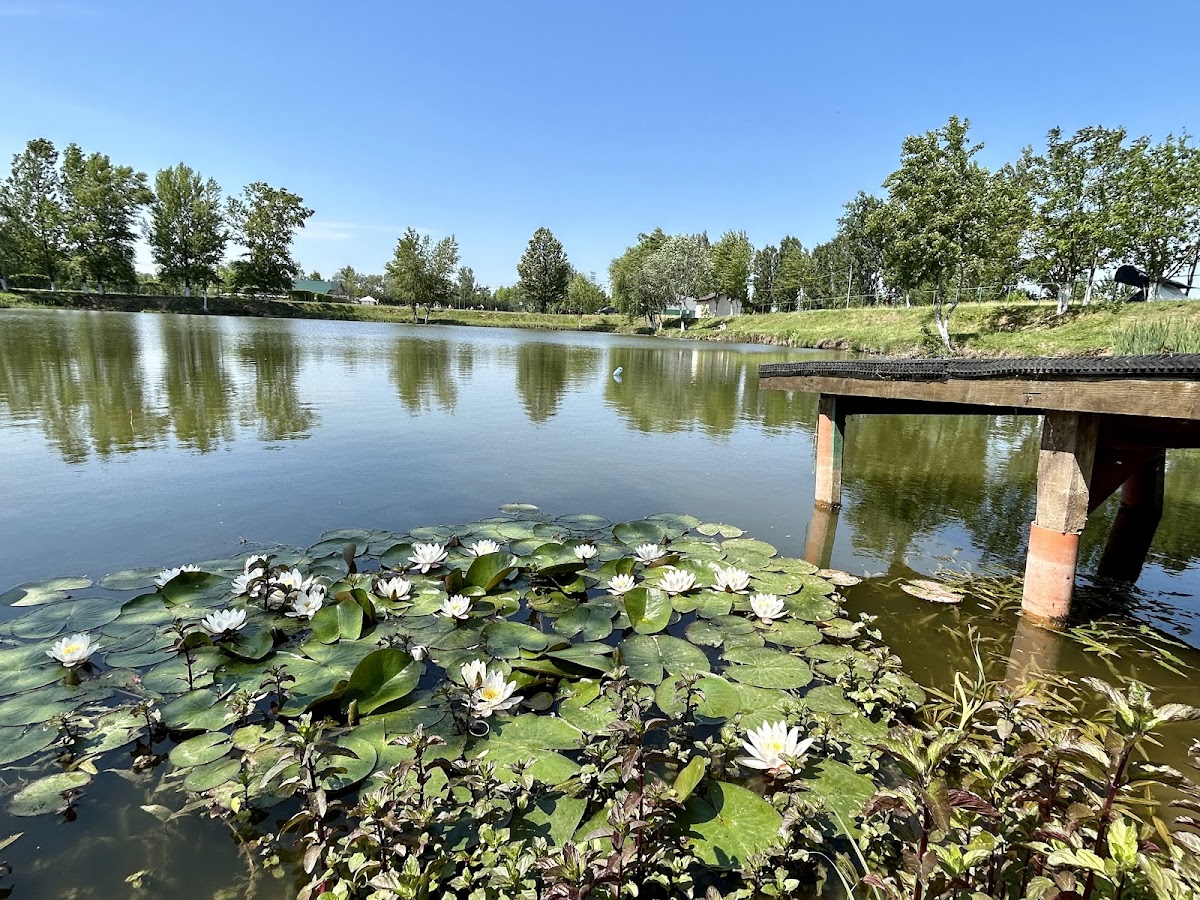 Bragadiru Park - foto 3