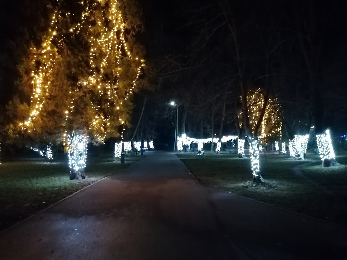 布兰科维亚努公园 - foto 3