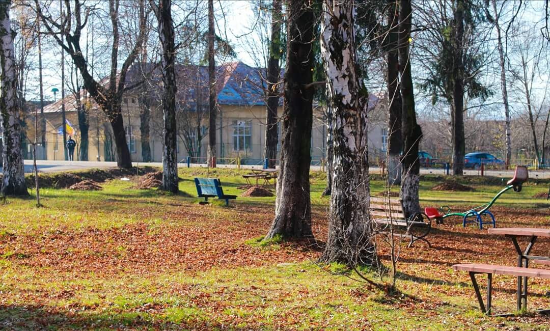 Parcul Bratianu - foto 3