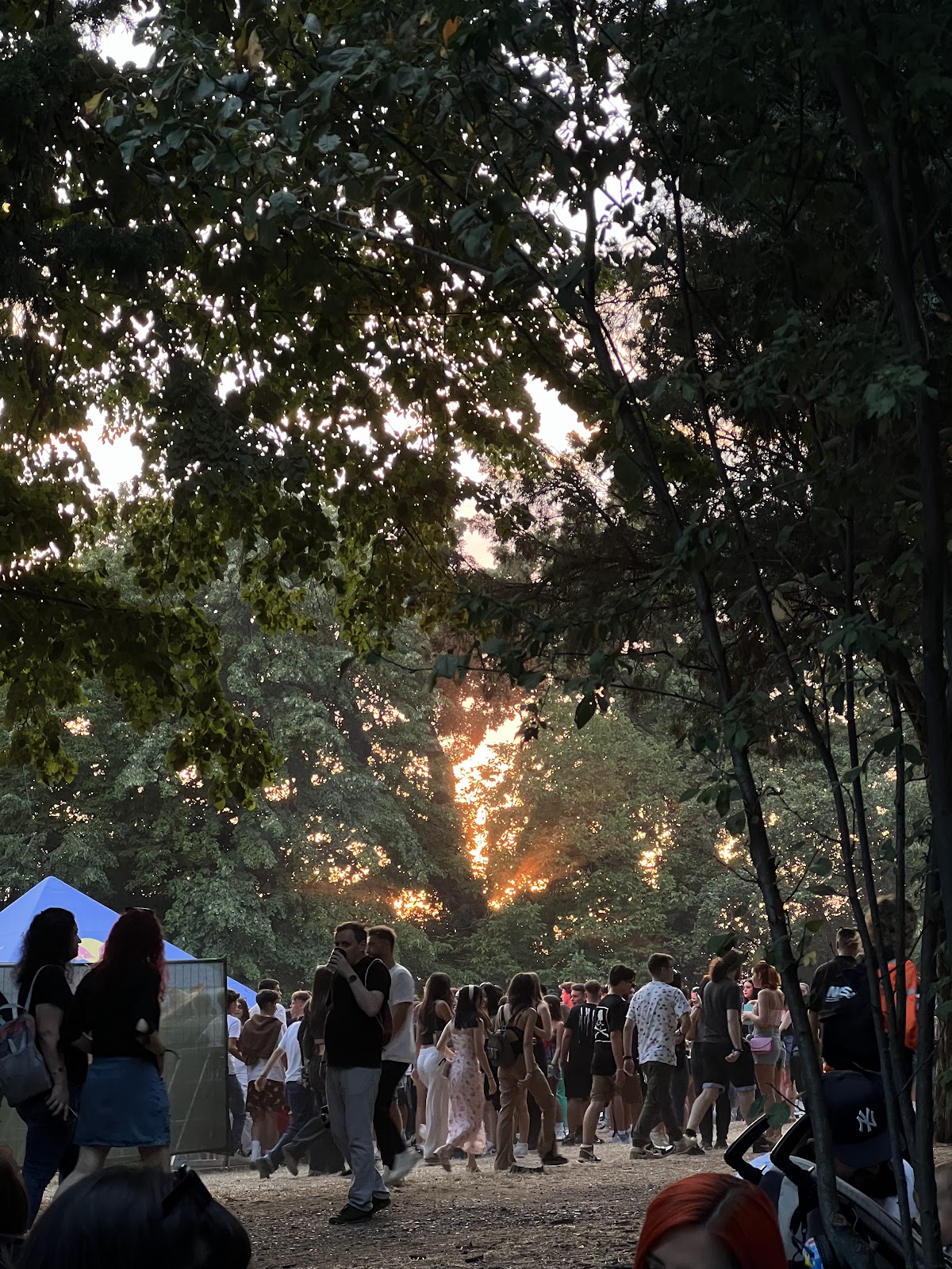 Parcul Buftea