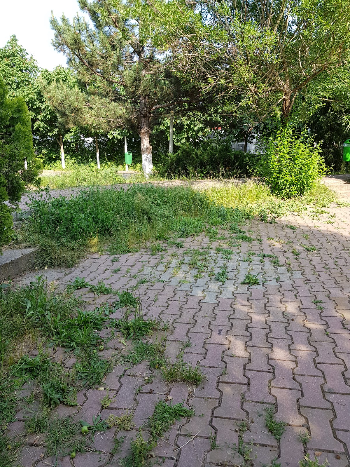 Parcul Buftea - foto 3