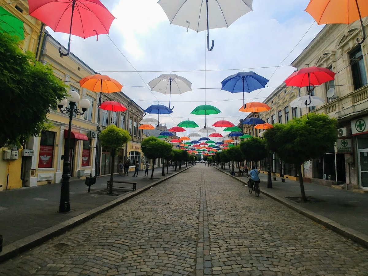 Bulevard Park - foto 4