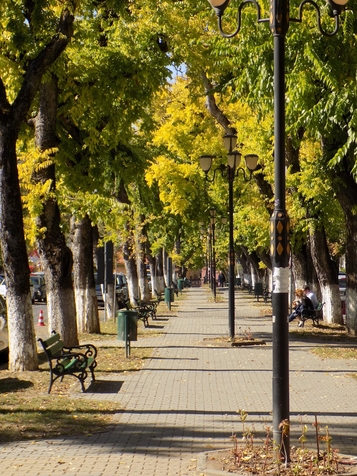 Parcul Bulevardul Cetatii, Târgu Mureş