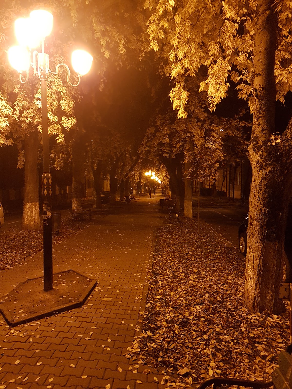 Parcul Bulevardul Cetatii - foto 2
