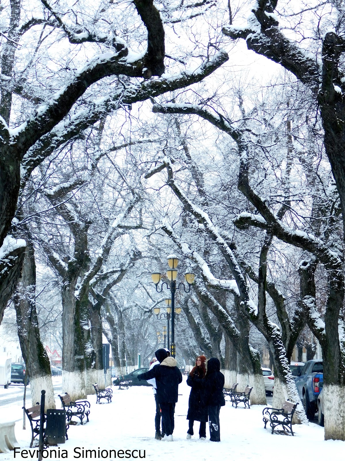 Parcul Bulevardul Cetatii - foto 3