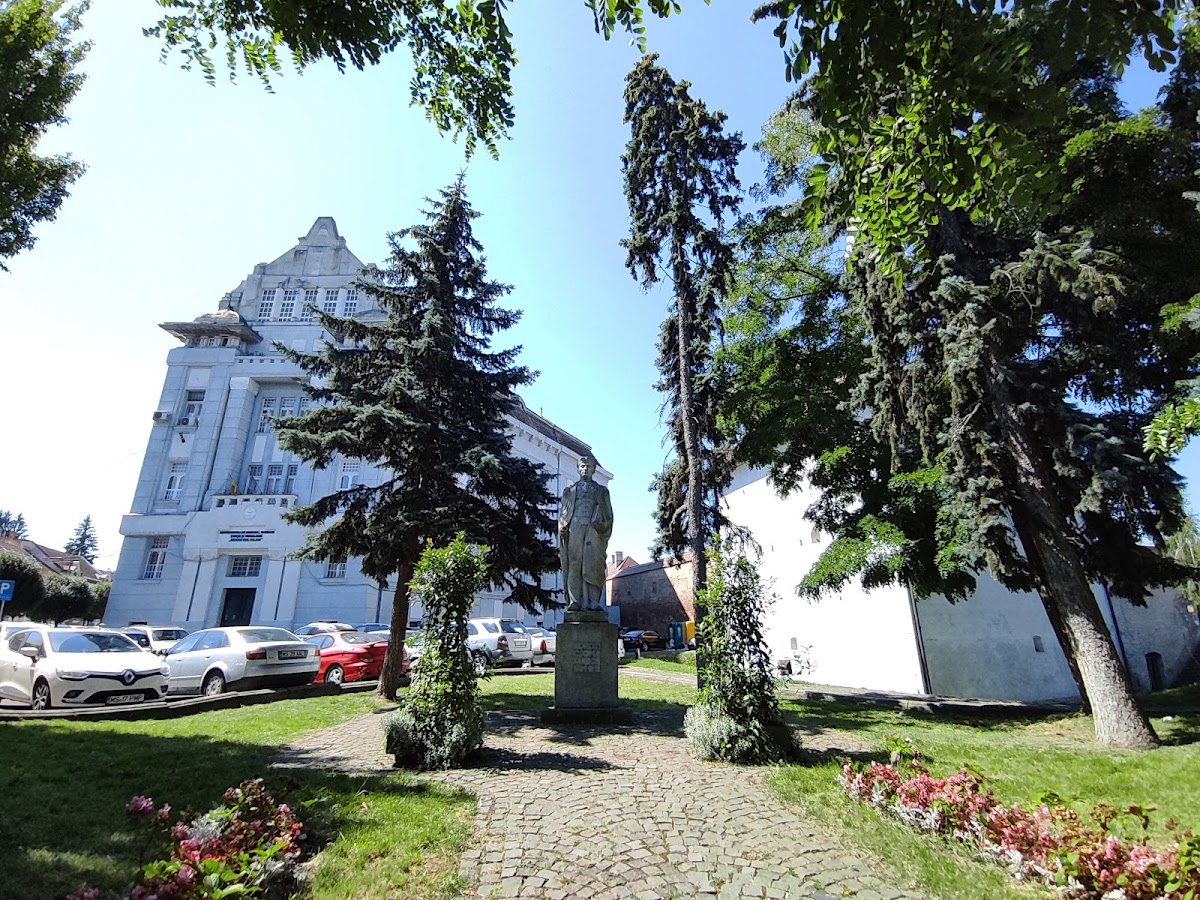 Parcul Bulevardul Cetatii - foto 5