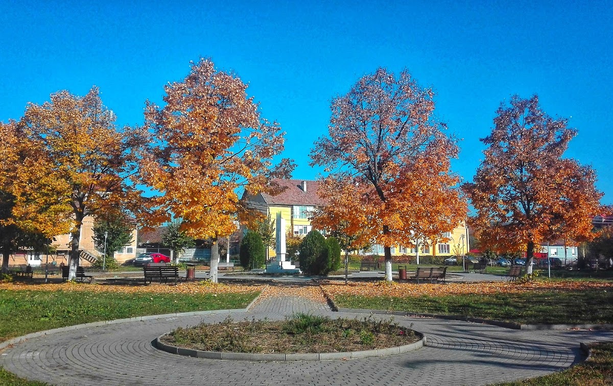 Captain Axente Lene Park - foto 3