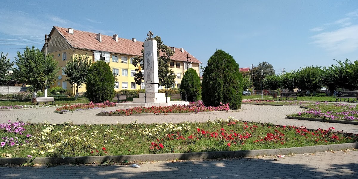 Captain Axente Lene Park - foto 4