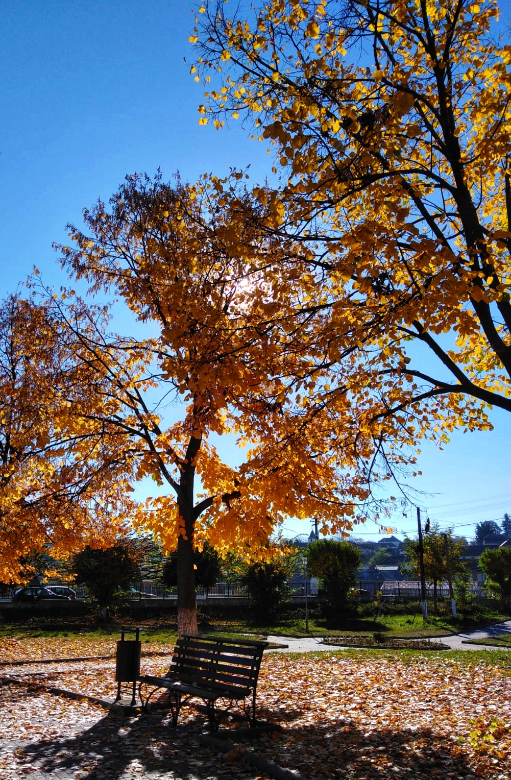 Captain Axente Lene Park - foto 5