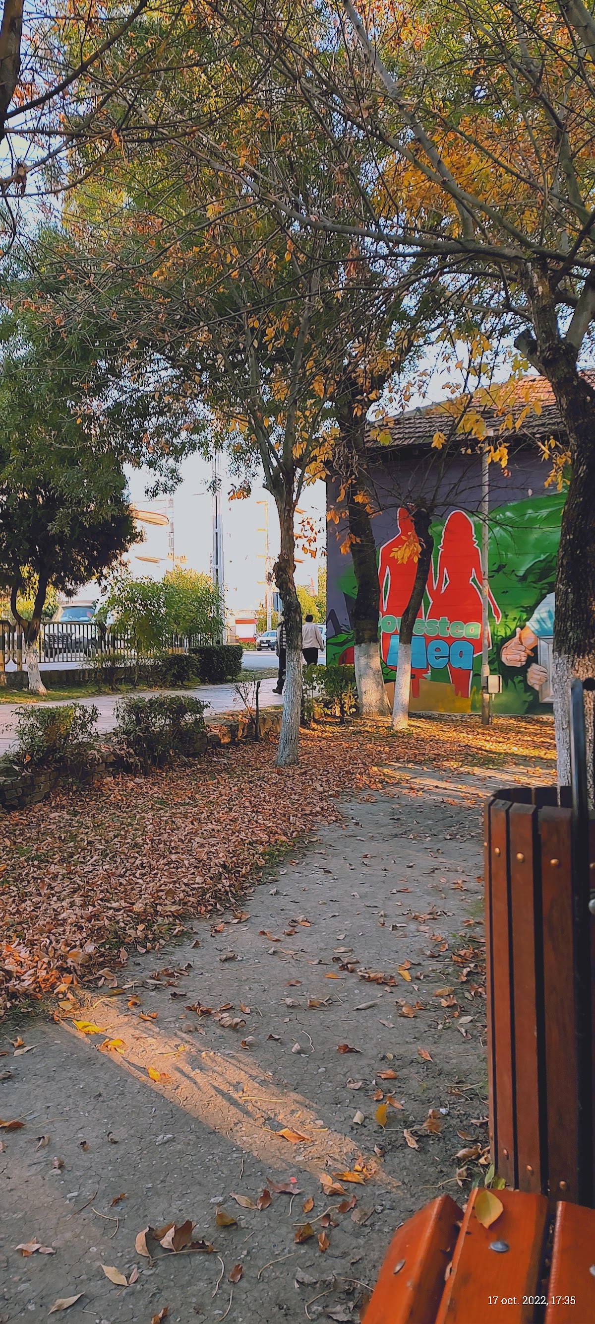 Park des Kulturhauses in Filiași - foto 2