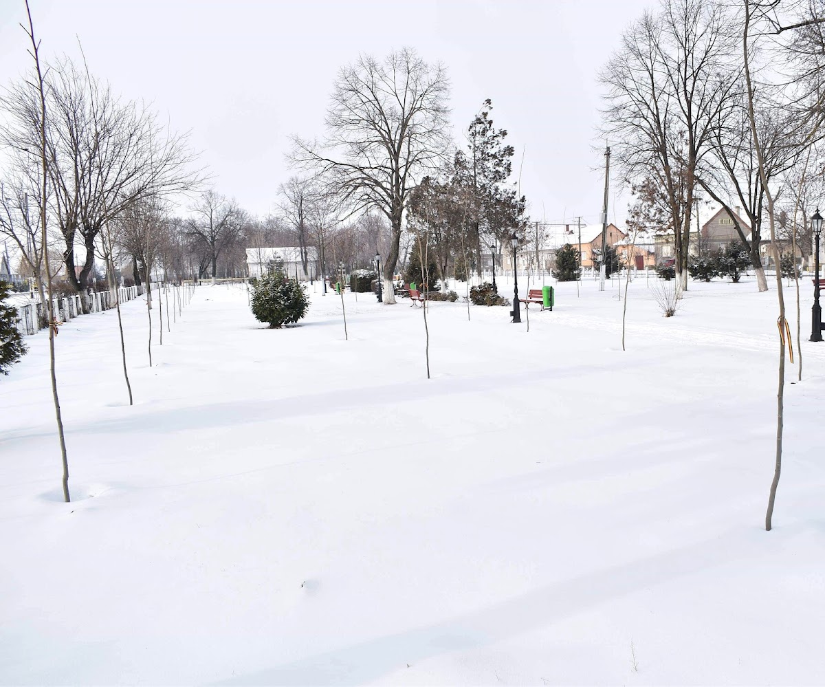 Parco Centenario - foto 2