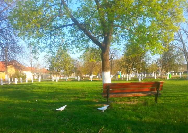 Parco Centenario - foto 3