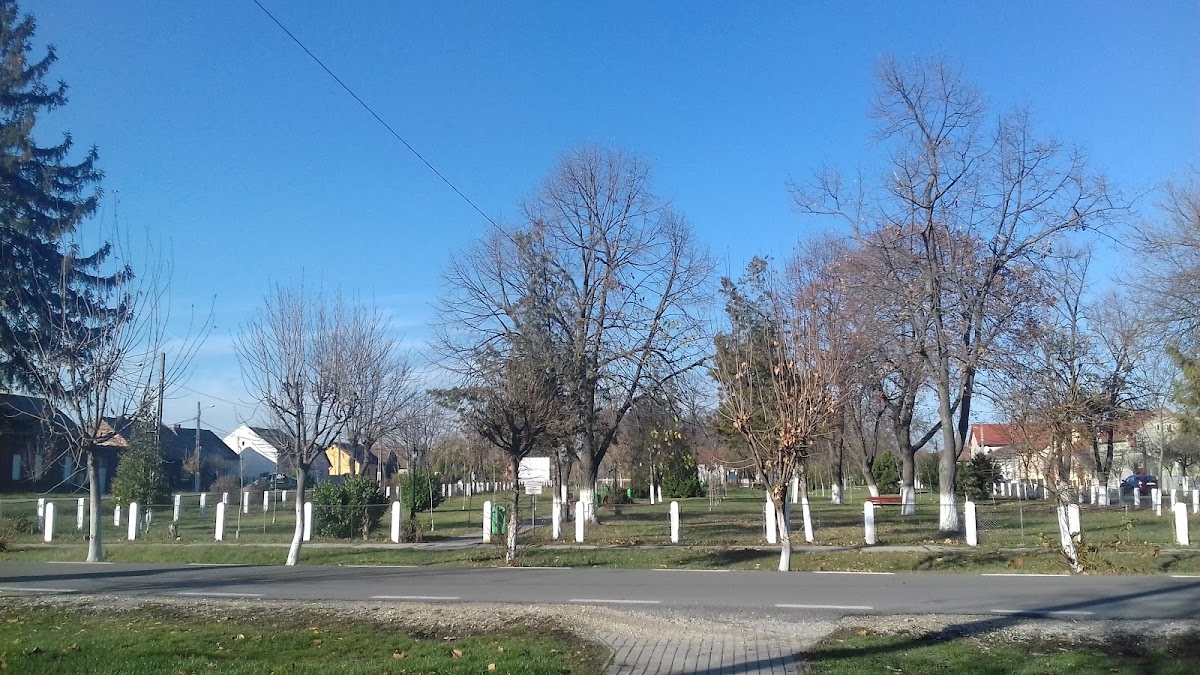 Parco Centenario - foto 4