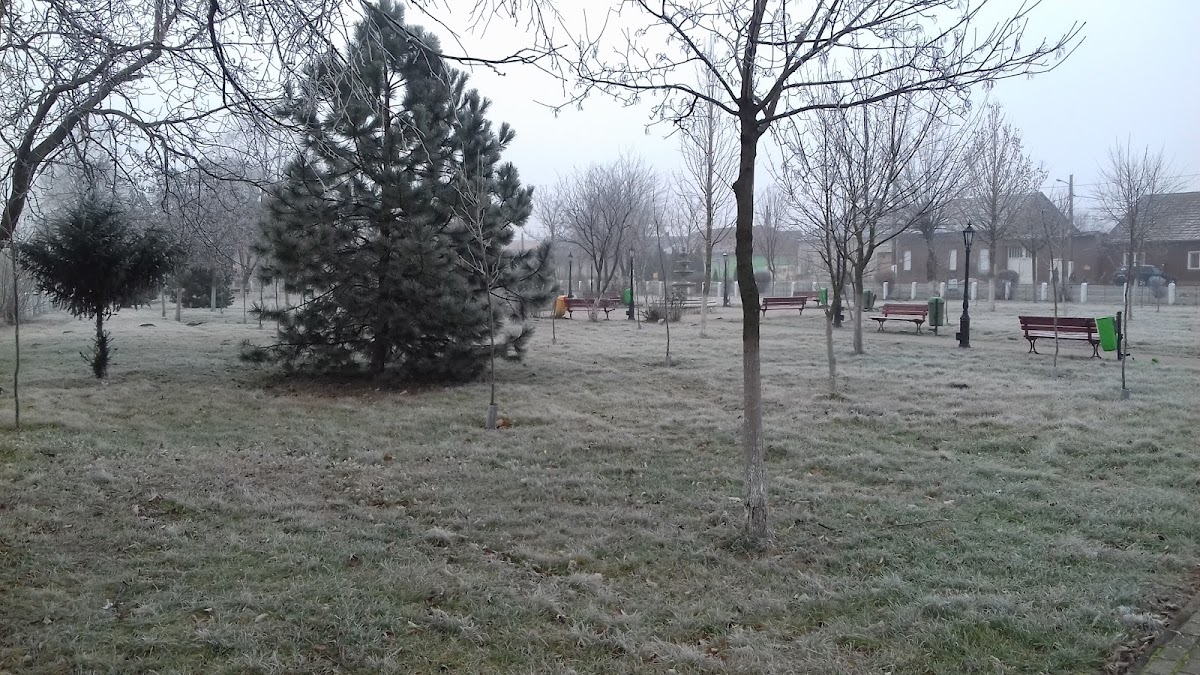 Parco Centenario - foto 5