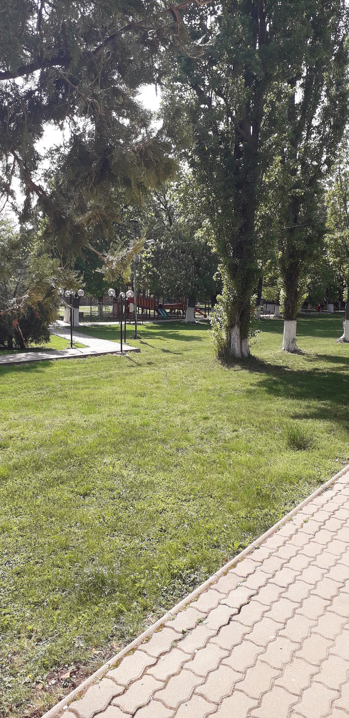 Parcul Central - foto 3