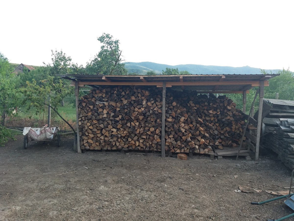 Parcul Central - foto 4