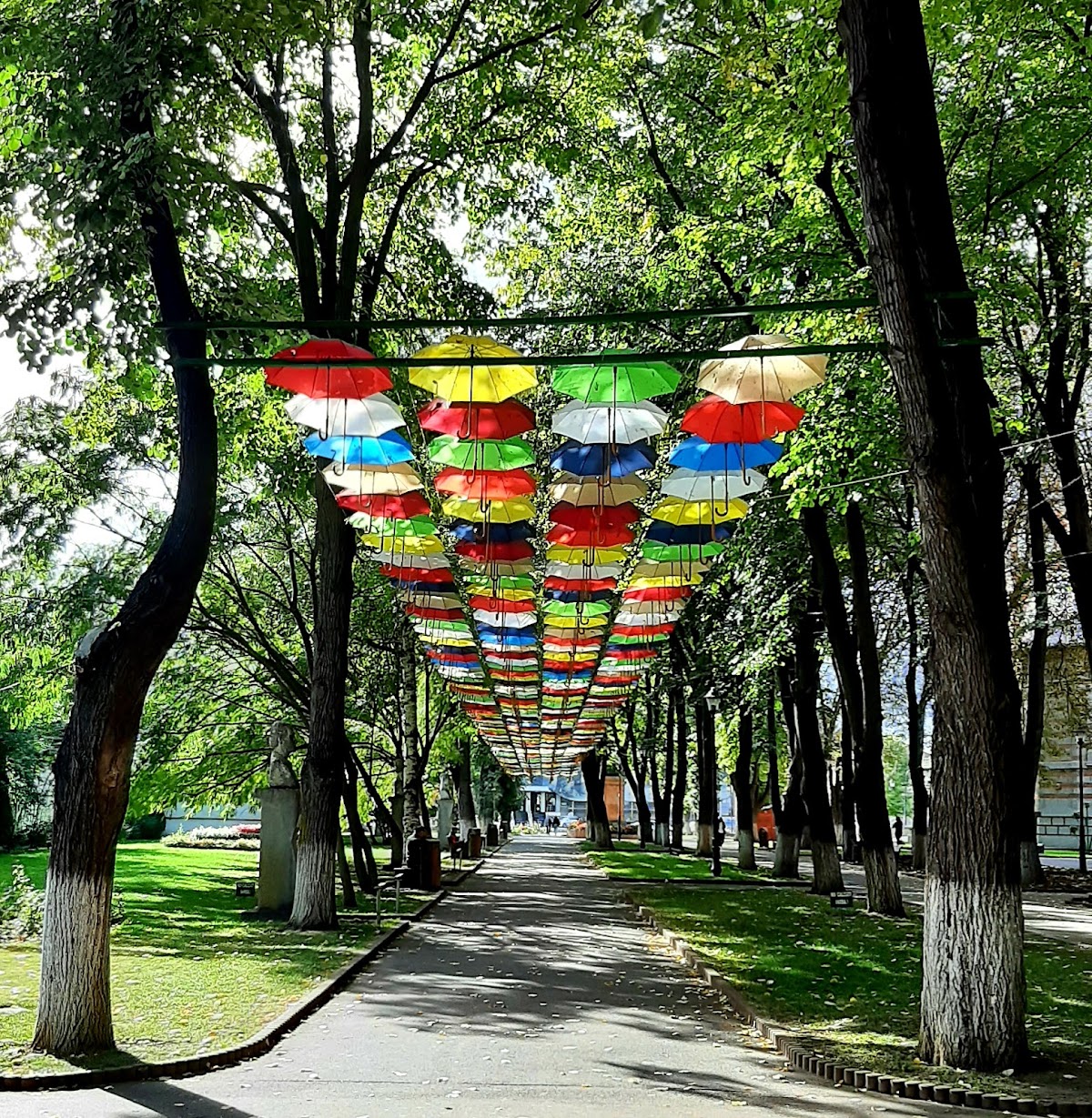 Parcul Central "Alexandru Ioan Cuza" Tecuci - foto 3