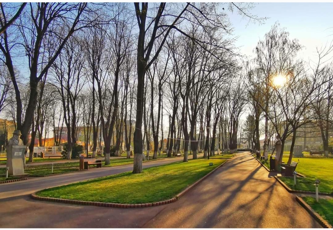 Parcul Central "Alexandru Ioan Cuza" Tecuci - foto 5