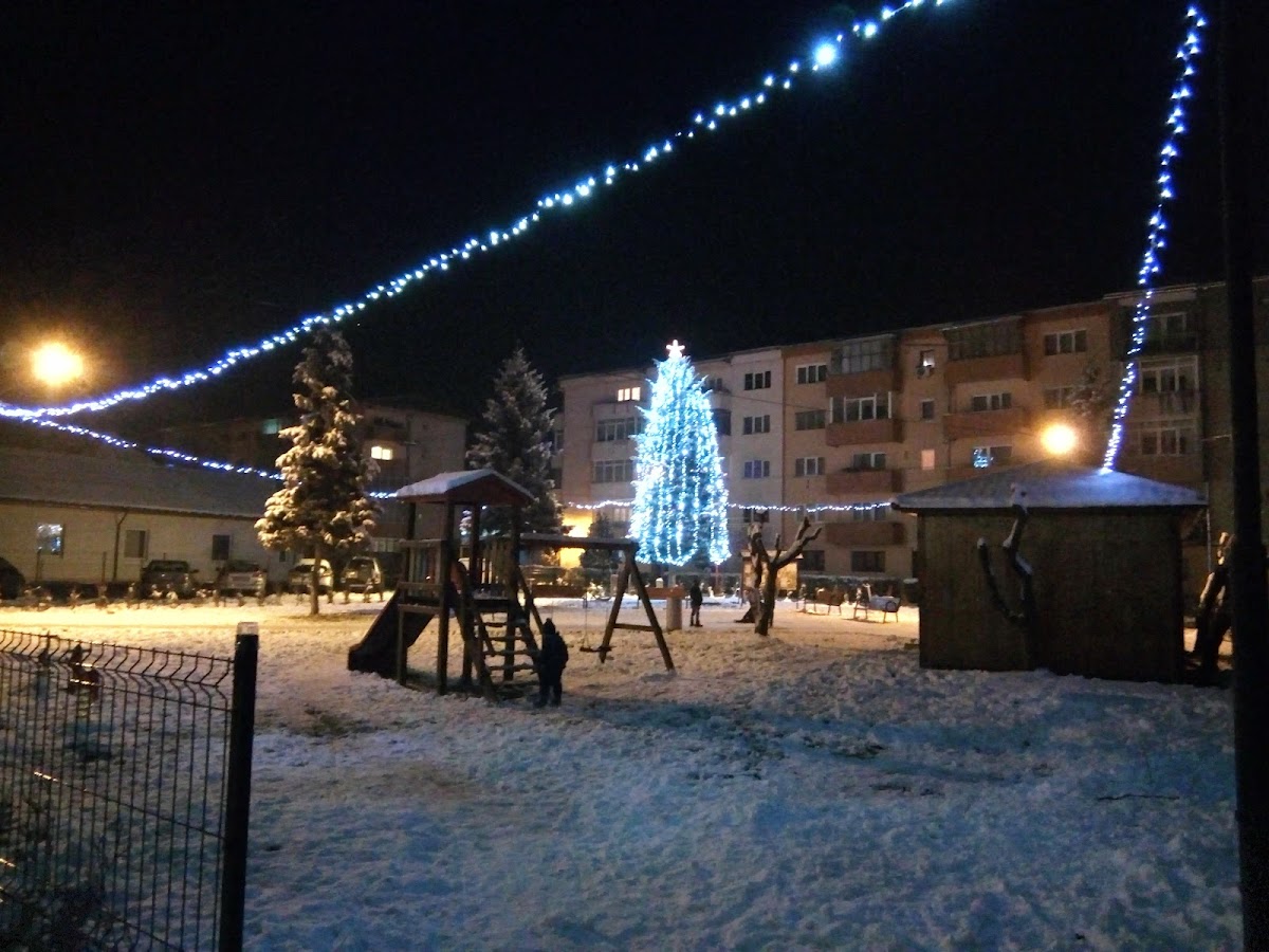 Parcul Central AVRIG - foto 1