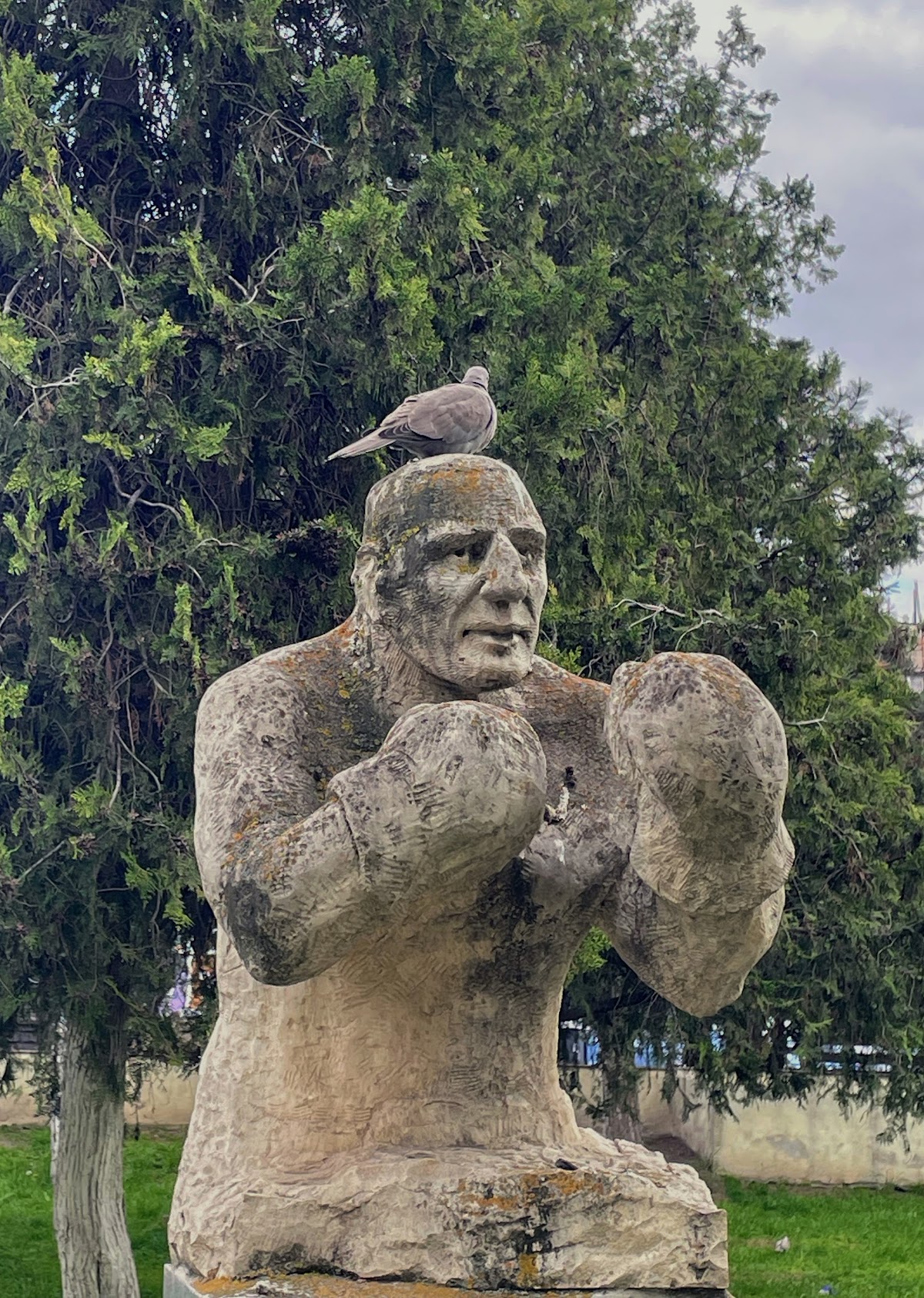 Parcul central Babadag