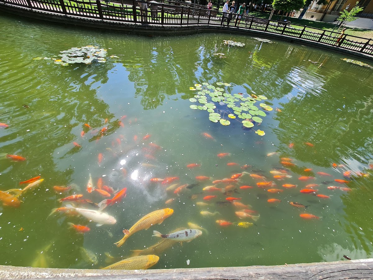 Parc Central Bistrița - foto 2