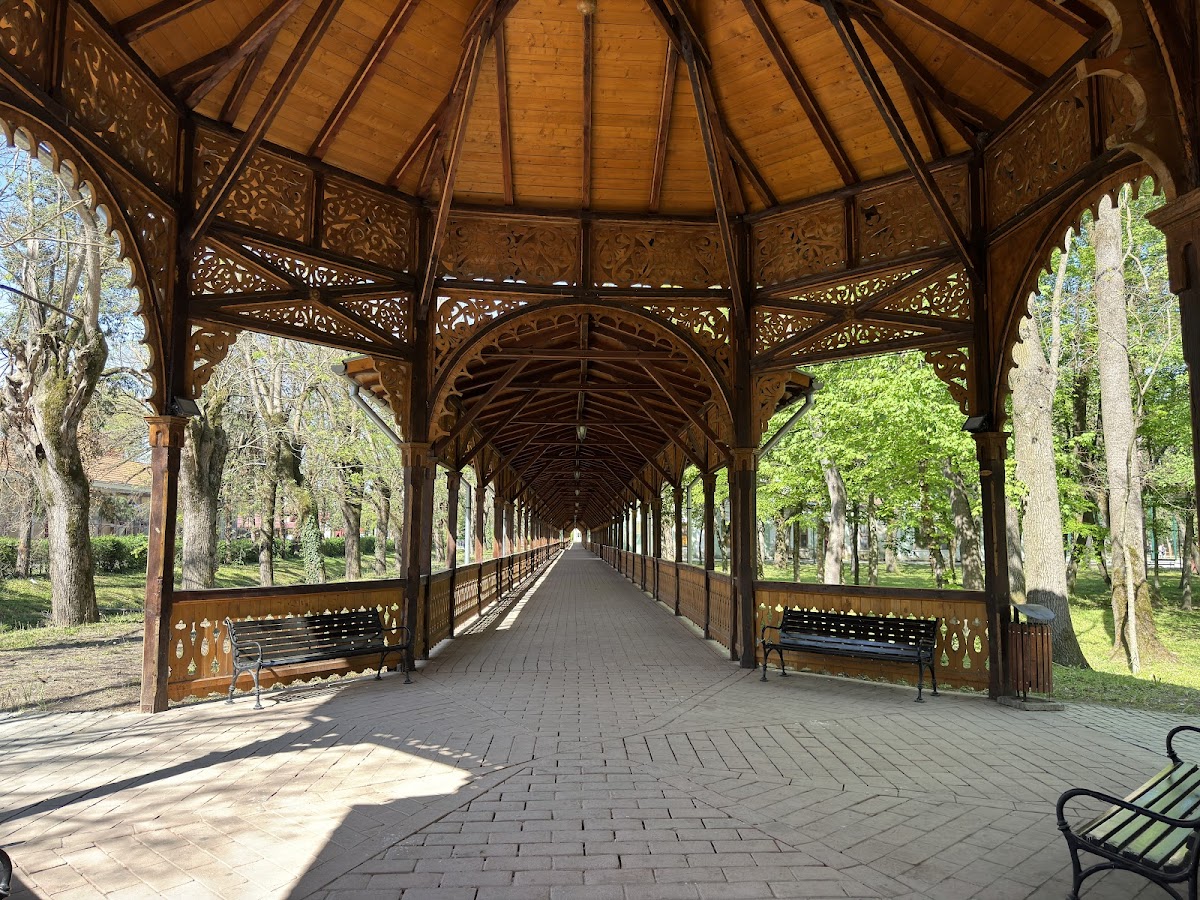 Parcul central Buziaș - foto 2
